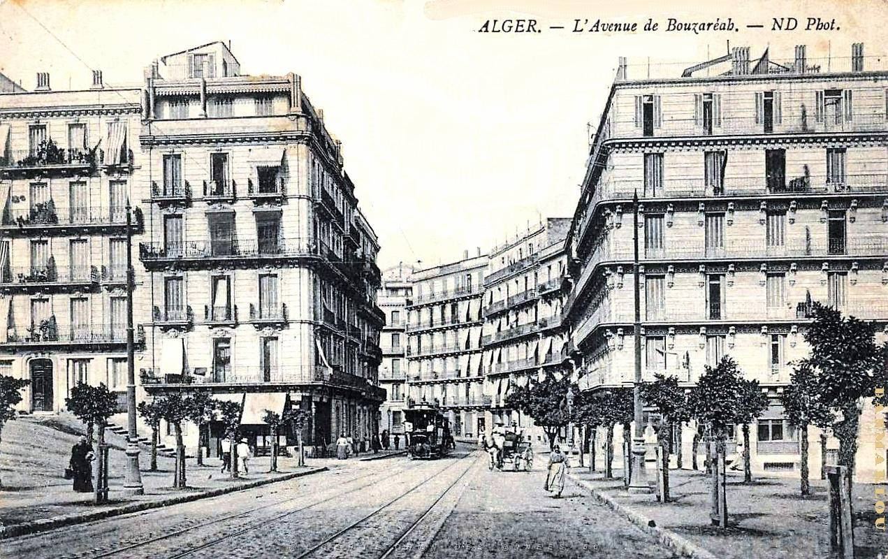 2619- Alger - Avenue de Bouzareah.jpg